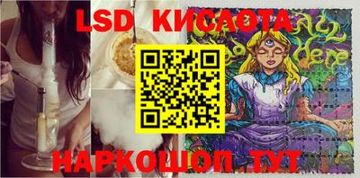 шишки Белореченск
