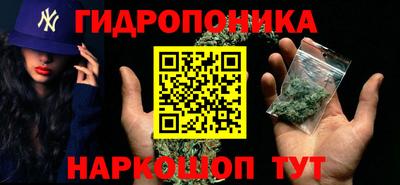 шишки Белореченск