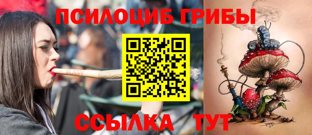 Псилоцибиновые грибы MAGIC MUSHROOMS Вольск